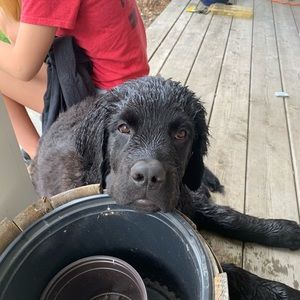 Meet your Posher, Tessa